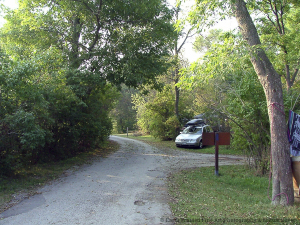 Nature-lover-2005-1600-x-1200-0003-300x225 Craigleith Provincial Park, Ontario