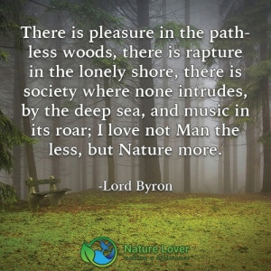 there is a pleasure in the pathless woods