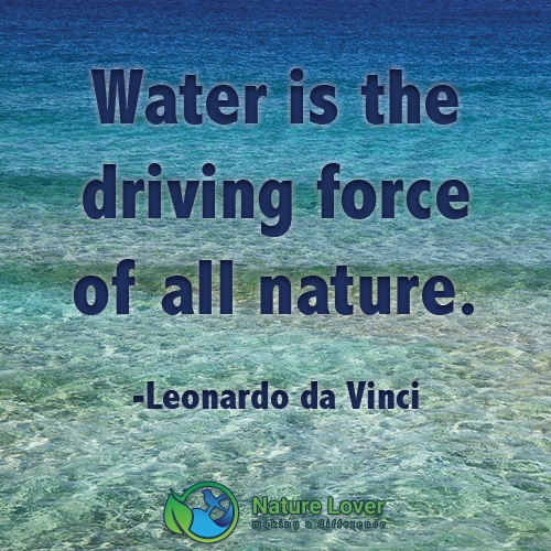 Water-is-the-driving-force-of-nature Water Is The Driving Force Of Nature