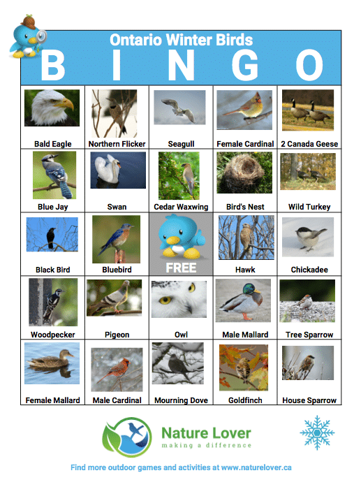 Ontario-Winter-Birds-BINGO-Sheet1 Ontario Winter Bird BINGO