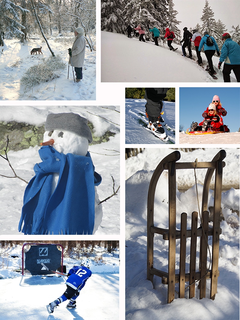 Winter-Activities1 Enjoy Nature on Family Day 2015