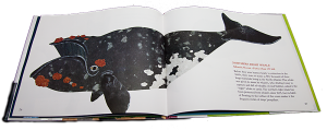 right-whale-300x119 Children's Book Review: Almost Gone: The World’s Rarest Animals