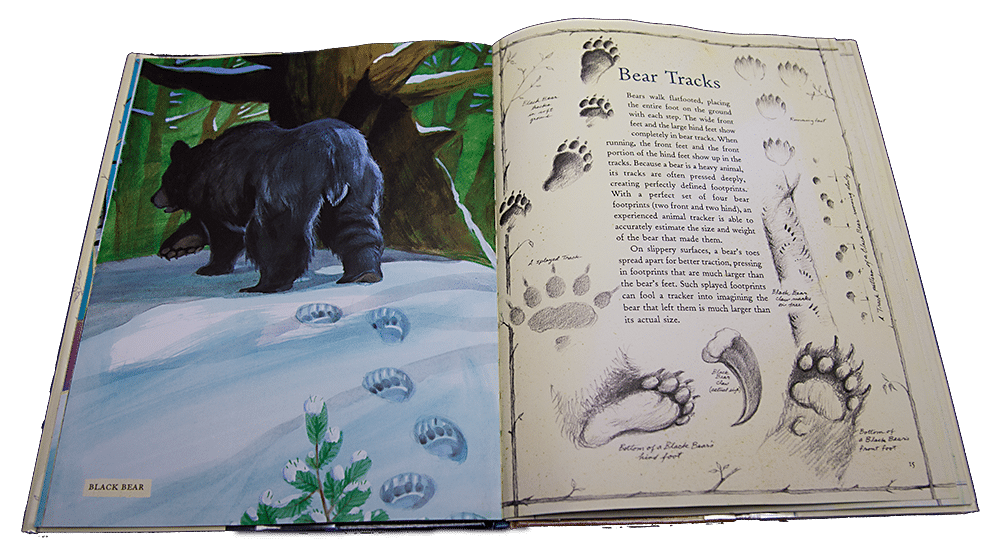bear-tracks Children's Book Review: Wild Tracks - A Guide to Nature's Footprints
