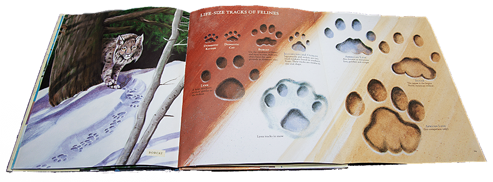 feline-tracks Children's Book Review: Wild Tracks - A Guide to Nature's Footprints