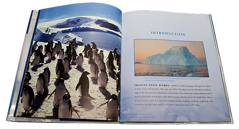 penguins Children's Book Review: Poles Apart