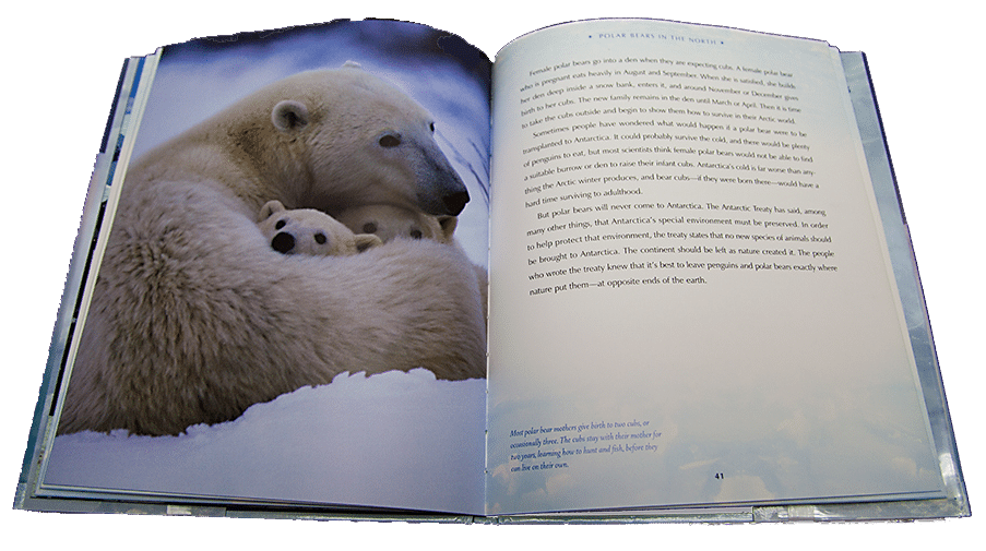 polar-bear-family Children's Book Review: Poles Apart
