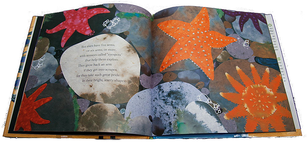 starfish Children's Book Review: Bees, Snails, & Peacock Tails