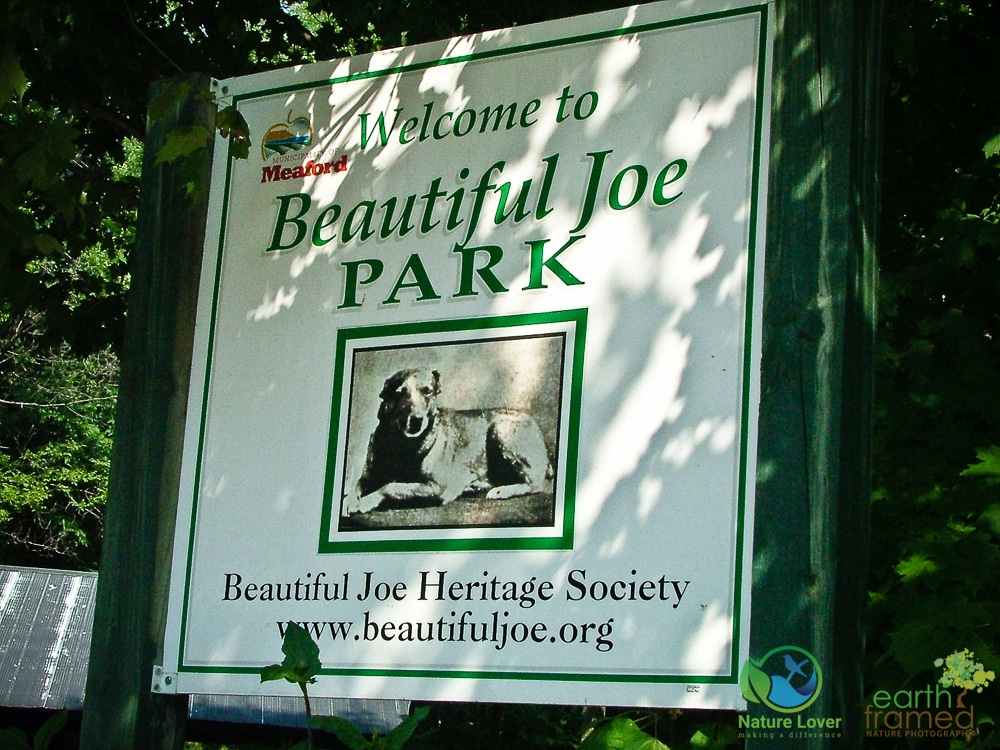 2005-August-03-1 Beautiful Joe Park, Meaford ON