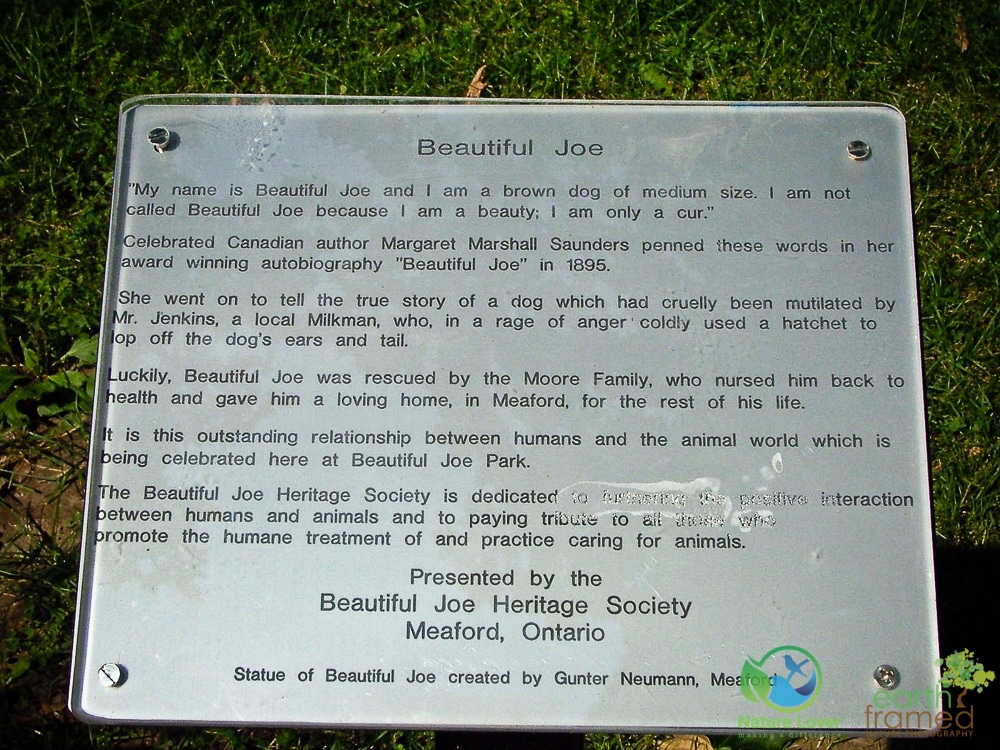 2005-August-03-21 Beautiful Joe Park, Meaford ON