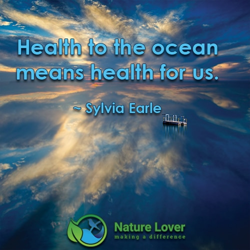 Health Health To The Ocean