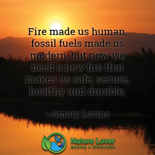 We-need-a-need-fire Fire Made Us Human