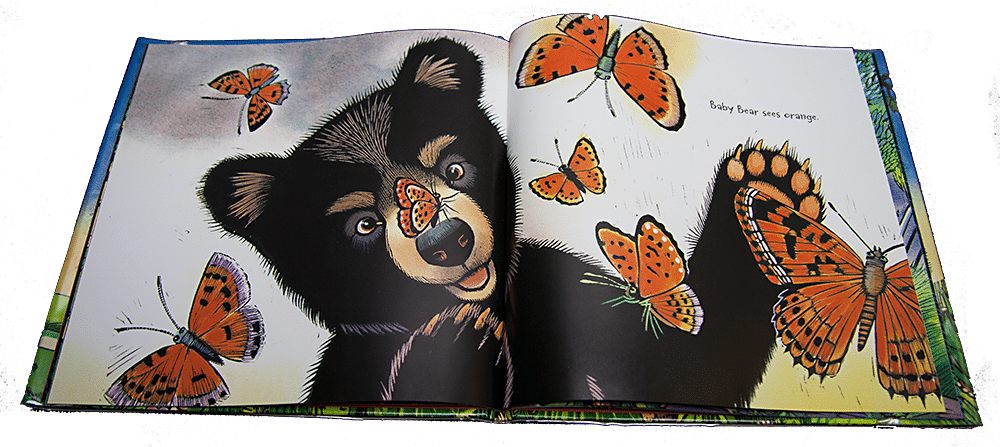 butterflies Children's Book Review: Baby Bear Sees Blue