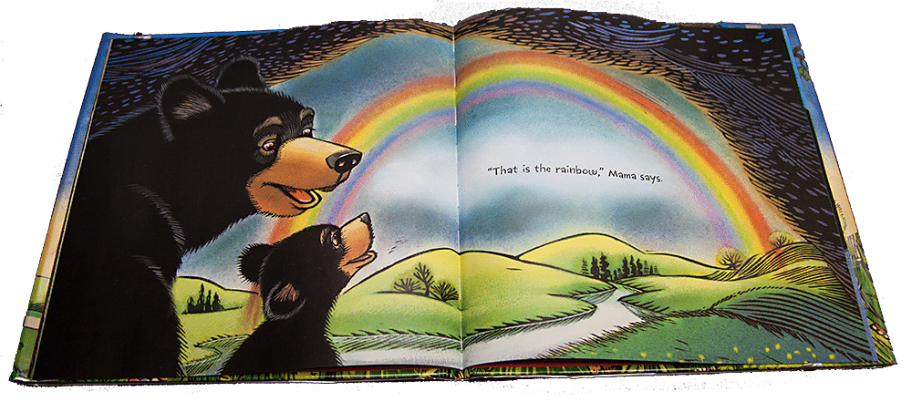rainbow Children's Book Review: Baby Bear Sees Blue