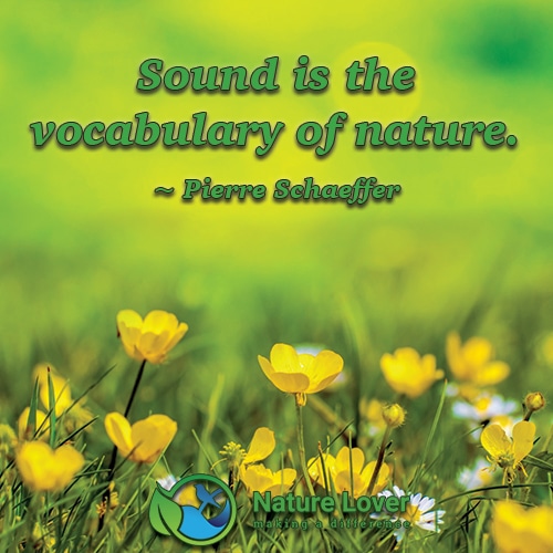 Vocab-Of-Nature Sound is the Vocabulary of Nature