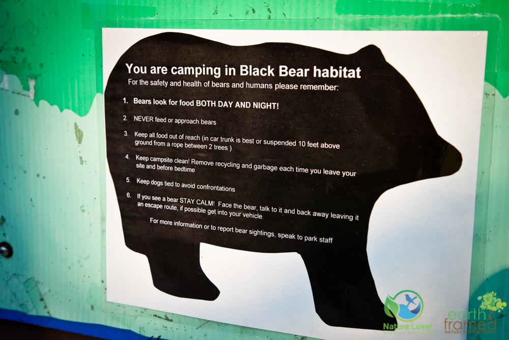 2015-July-05-86431 Bear Proofing Your Campground Campsite