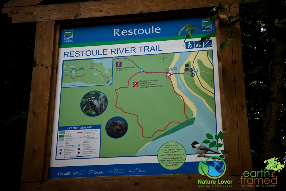 2015-July-08-8988 Dodging Mosquitoes and Blackflies on Restoule's River Trail