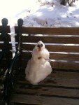 snowman-50771_1280-113x150 Make A Snowman