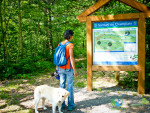 2015-July-11-1010953-150x113 Maya The Nature Dog Checks Out Kiosk and Area