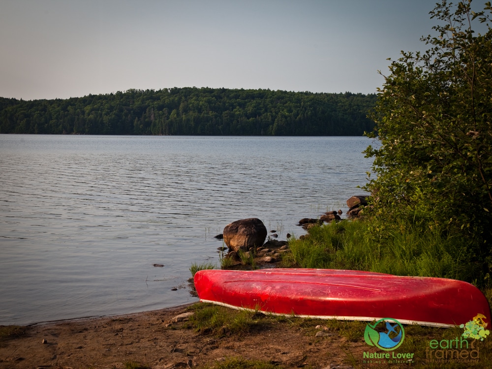 2015-July-11-9392 Kiosk Campground & Access Point, Algonquin Provincial Park Review