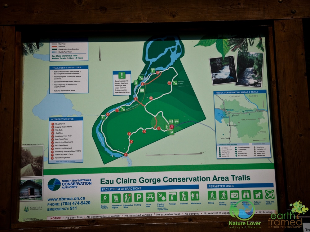 2015-July-11-9496 Exploring the Eau Claire Gorge Conservation Area