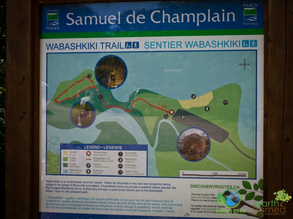 2015-July-11-9570 Hiking Samuel De Champlain's Wabashkiki Trail