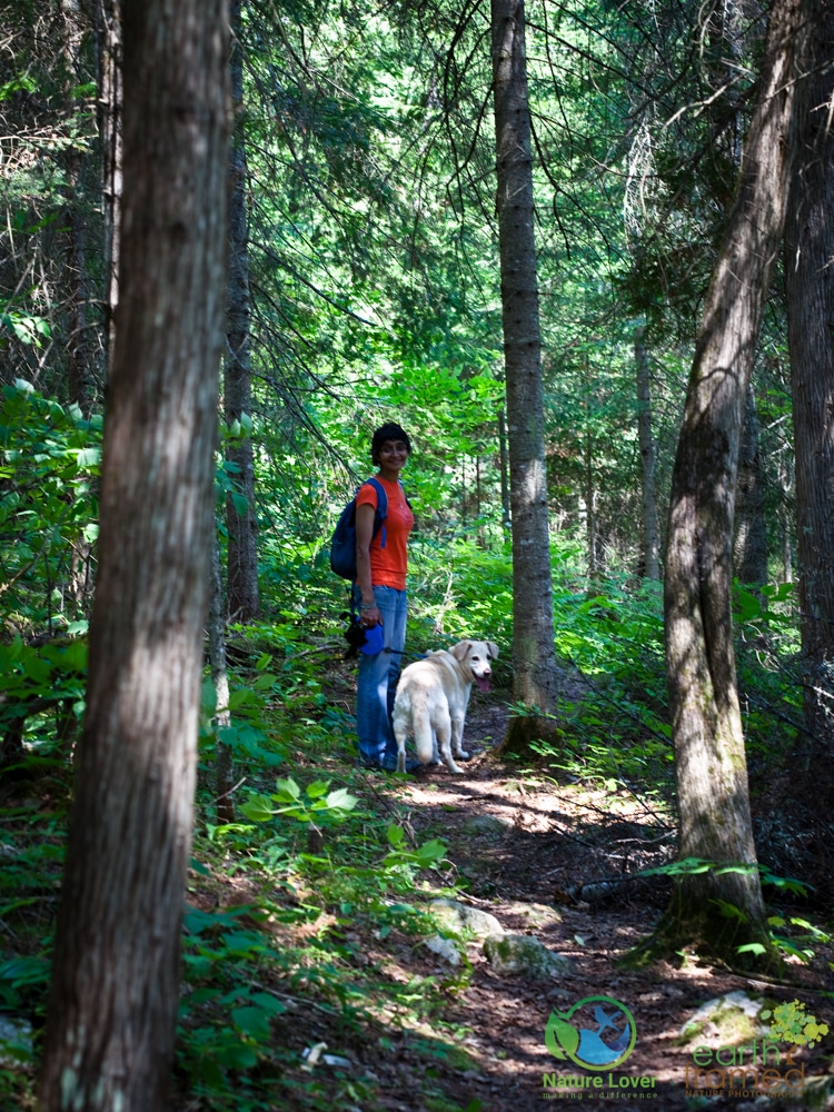 2015-July-11-9612-2 Hiking Samuel De Champlain's Wabashkiki Trail