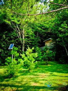 2015-July-12-1010966-225x300 Kiosk Campground & Access Point, Algonquin Provincial Park Review