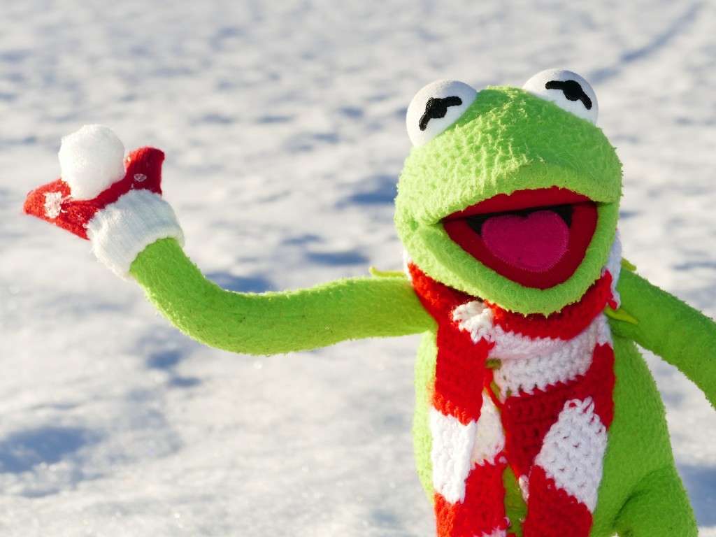 kermit-601710_1920-1024x768 Have a Snowball Fight