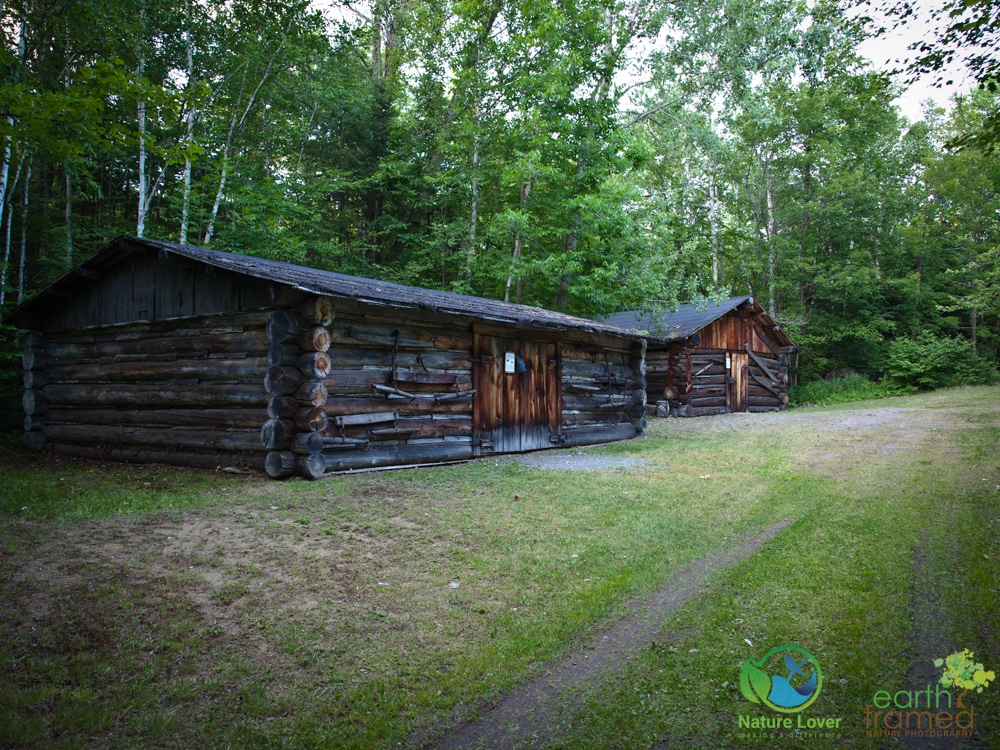 2015-July-14-9750 Marten River's Historical Logging Camp