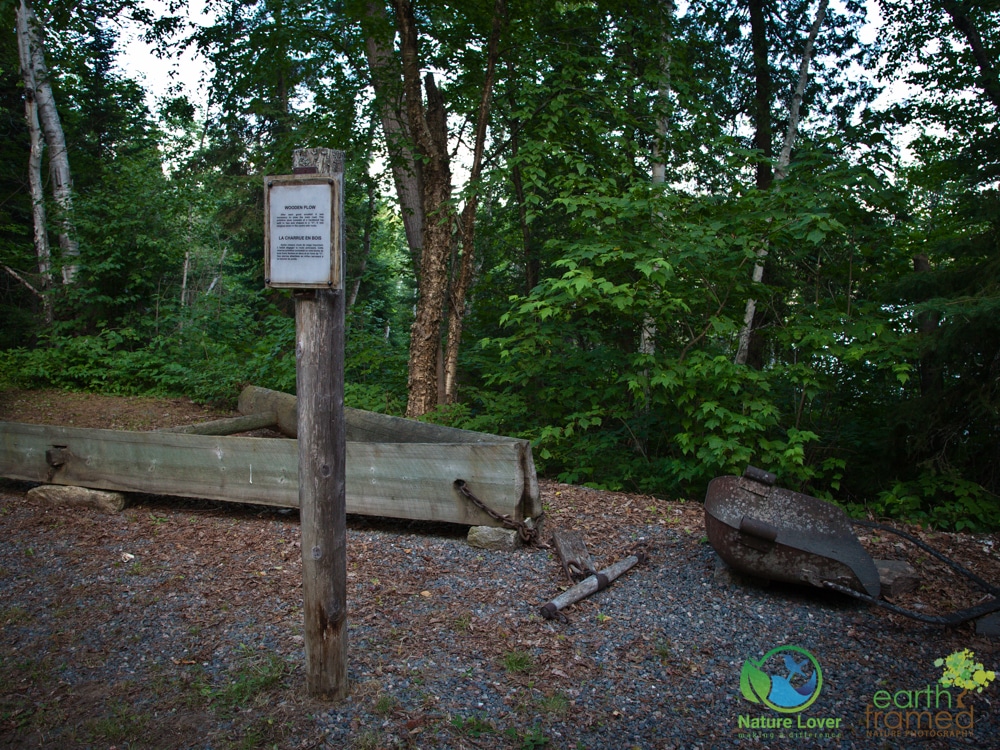 2015-July-14-9758 Marten River's Historical Logging Camp