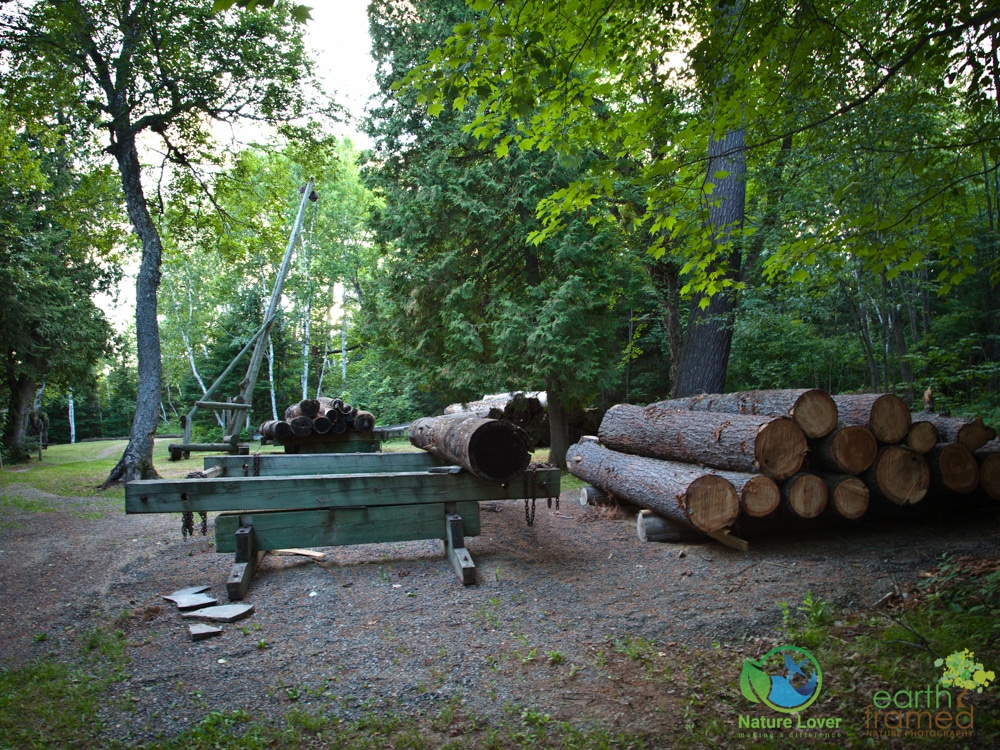 2015-July-14-9763 Marten River's Historical Logging Camp