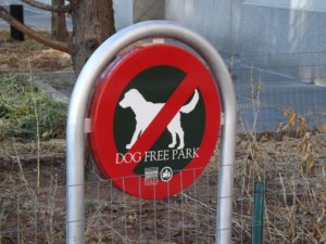 dog-free-park-1-300x225 Why You Should Walk Your Dog On Leash