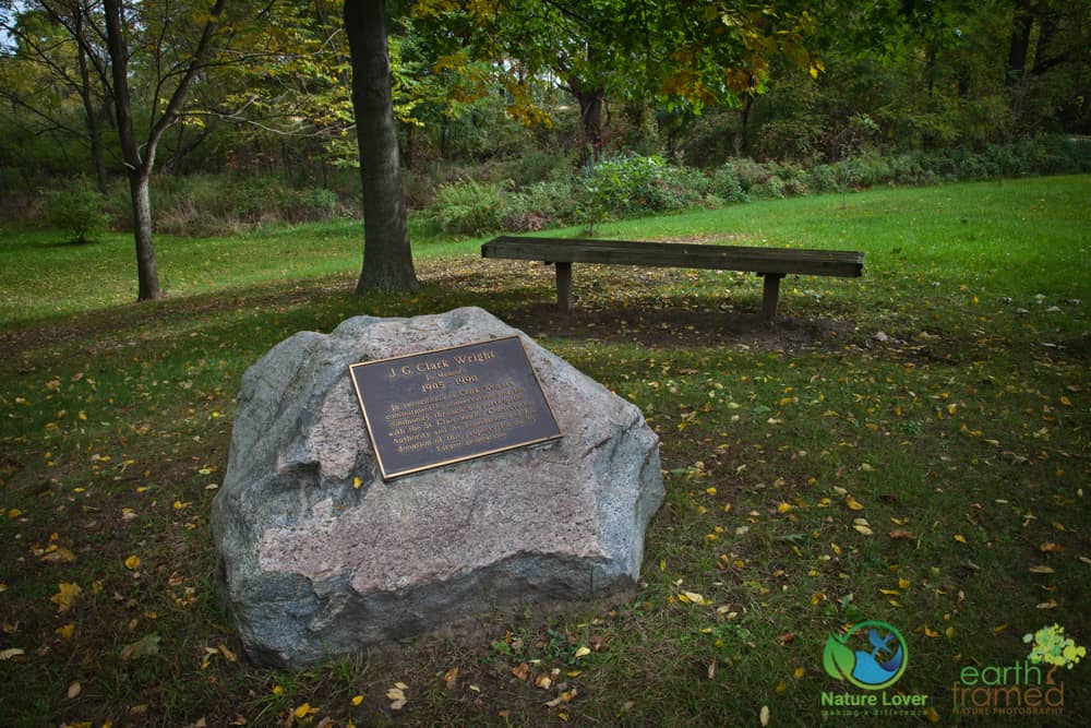 2016-October-09-4573 Quick Walk At Clark Wright Conservation Area