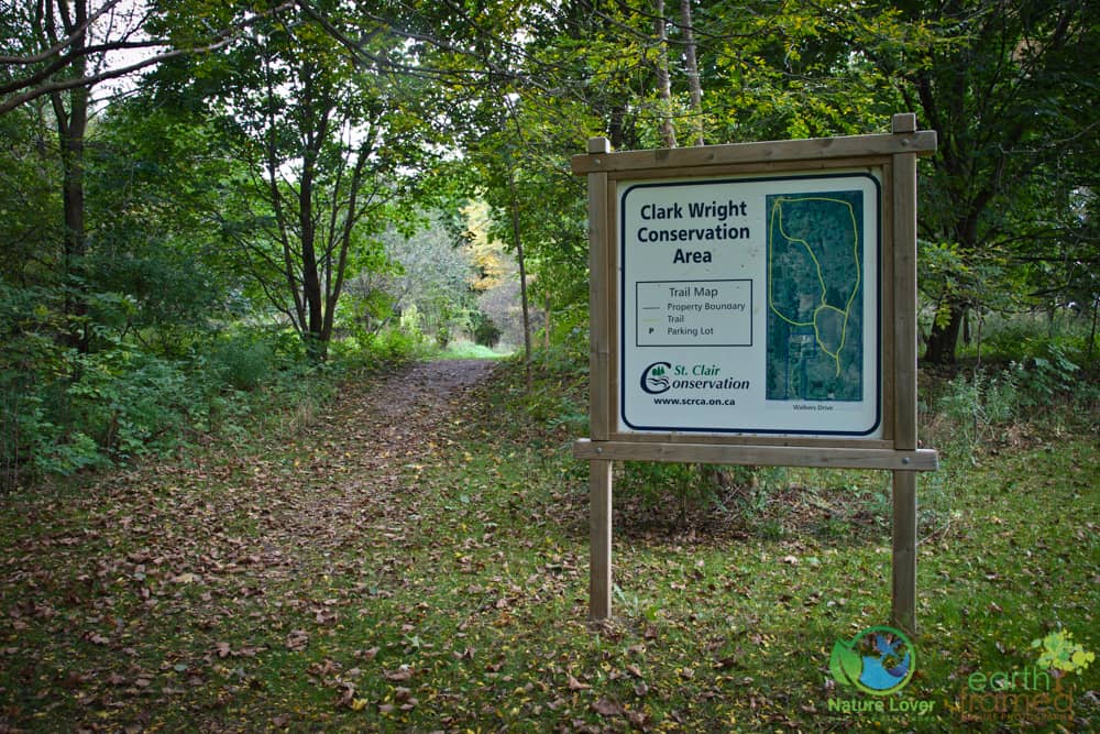 2016-October-09-4581 Quick Walk At Clark Wright Conservation Area