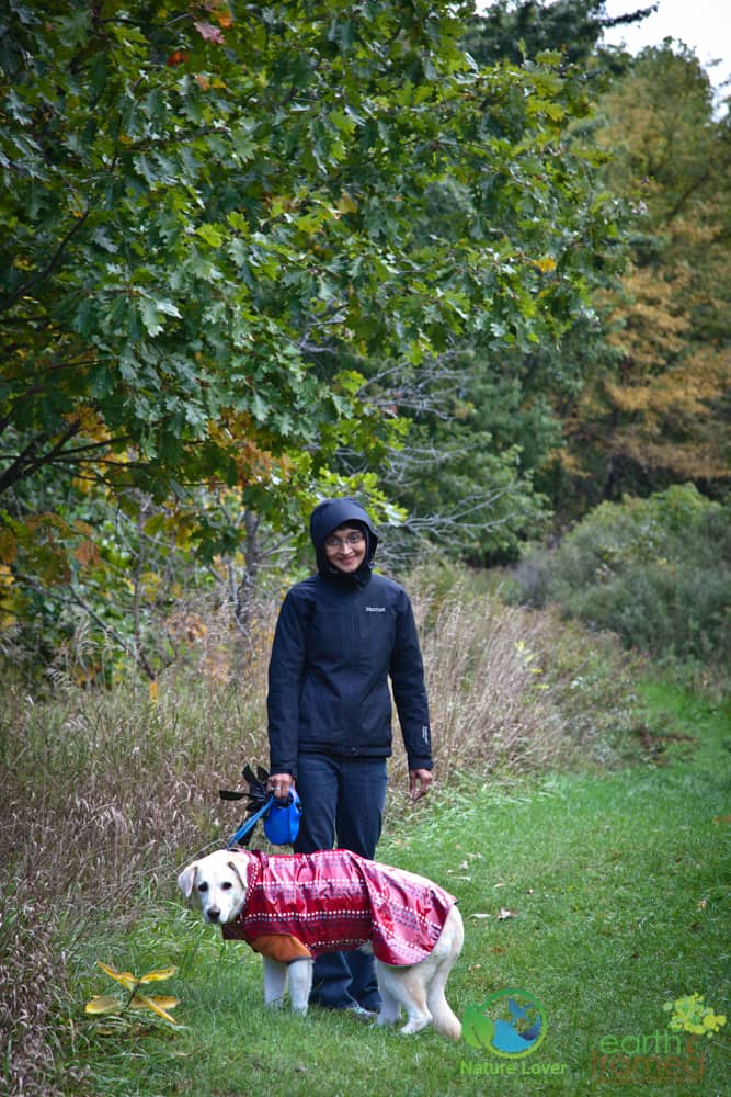 2016-October-09-4617 Quick Walk At Clark Wright Conservation Area