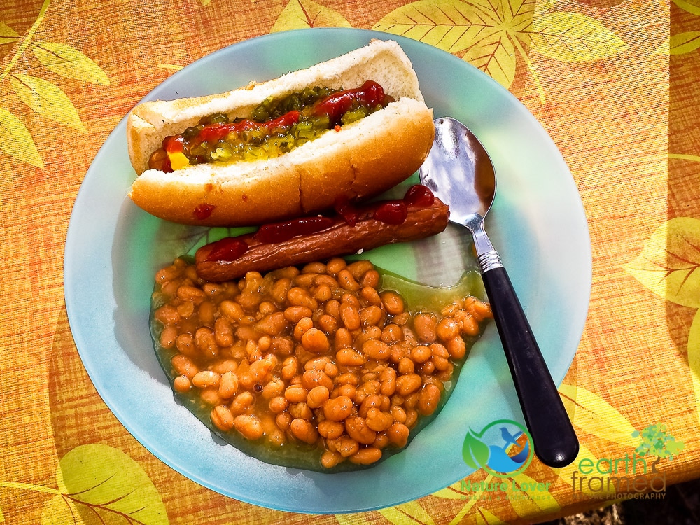 Nature-Lover-2015-Camping-meal-Summer-Windy-Lake-Provincial-Park_184951 Meal Ideas From Windy Lake