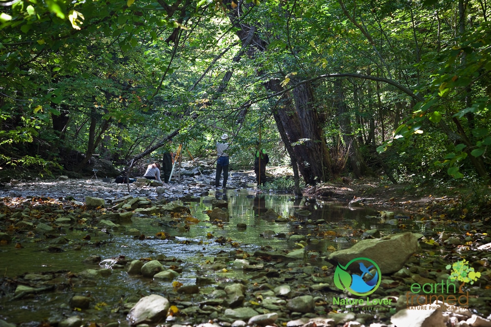 2016-Arkona-conservation-area-Fall-Rock-Glen-3272 Fall Hike At Rock Glen Conservation Area