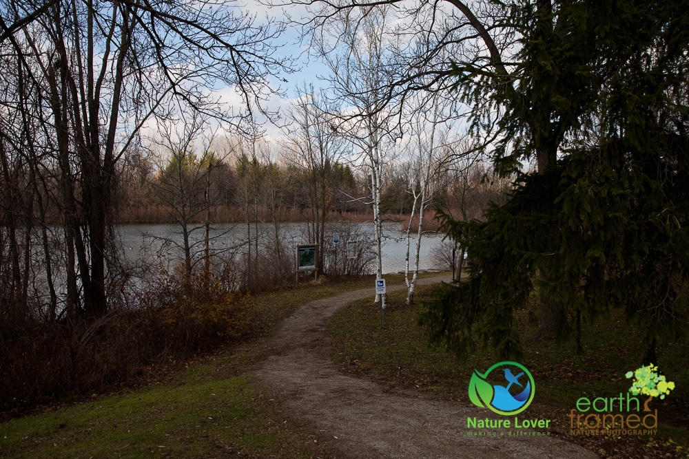 Nature-Lover-Strathroy-Strathroy-Water-Trail-Trail-Winter_5516_Nov-27 Late Fall Walk At Strathroy Conservation Area