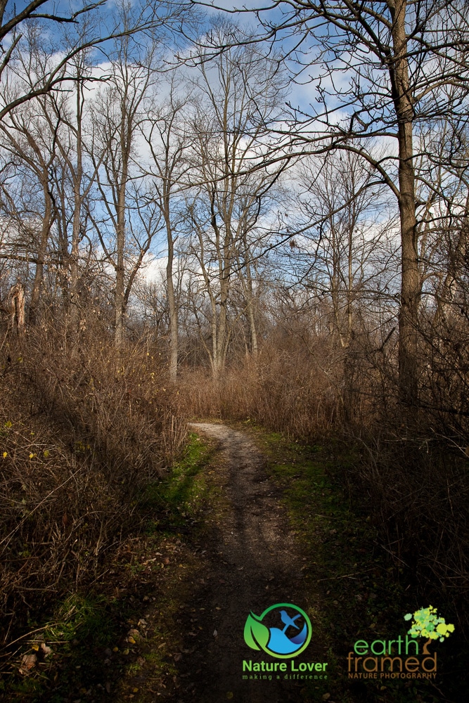 Nature-Lover-Strathroy-Strathroy-Water-Trail-Trail-Winter_5545_Nov-27 Late Fall Walk At Strathroy Conservation Area