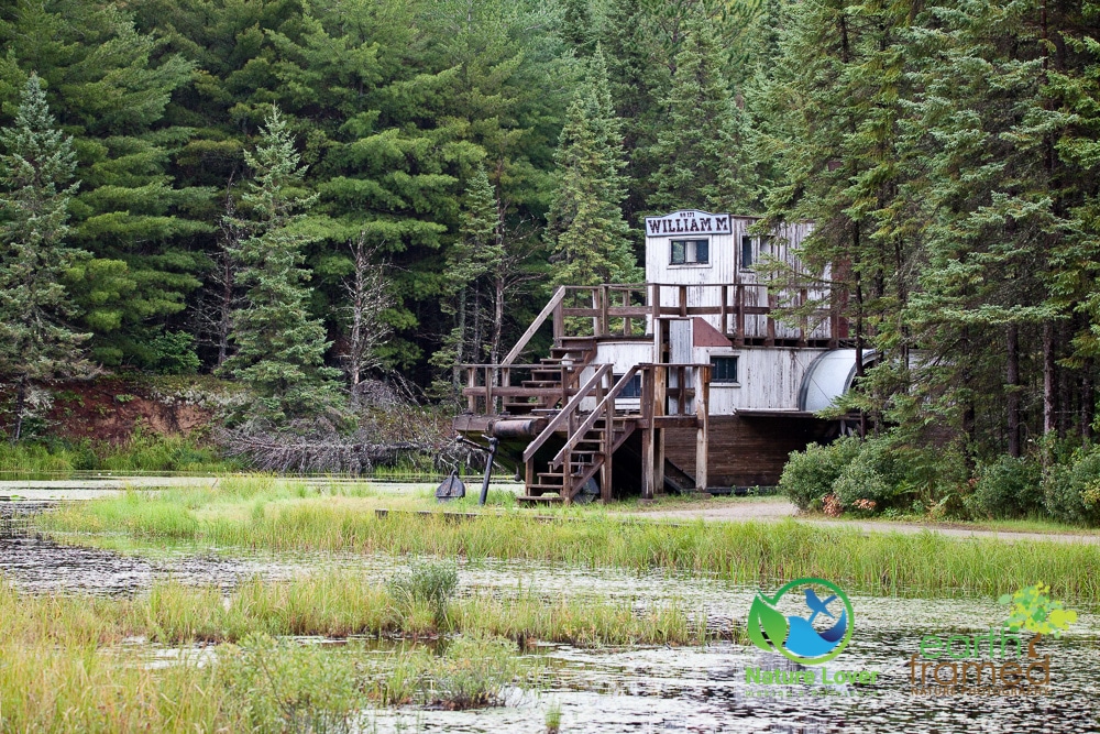 Nature-Lover-2016-Algonquin-Park-Summer_1315_Aug-13 Life In An Algonquin Logging Camp