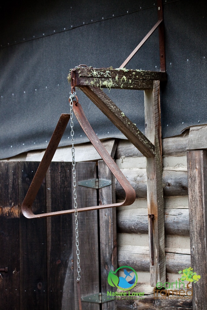 Nature-Lover-2016-Algonquin-Park-Summer_1371_Aug-13 Life In An Algonquin Logging Camp