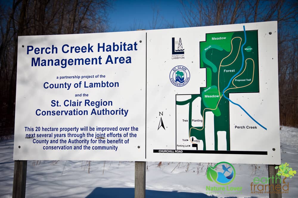 2015-Perch-Creek-Winter-Ontario-6896 Gorgeous Winter Walk Through Perch Creek Habitat
