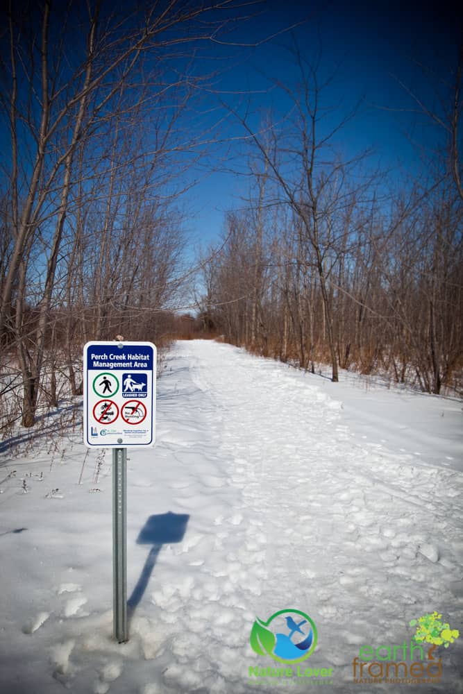 2015-Perch-Creek-Winter-Ontario-6898 Gorgeous Winter Walk Through Perch Creek Habitat