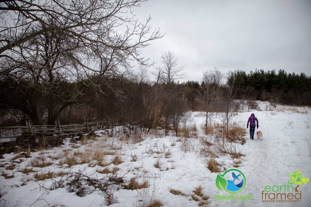 2015-Starkey-Hill-Conservation-Area-Guelph-Trail-Winter-7107 Slipping Around Starkey Hill Conservation Area, 2015
