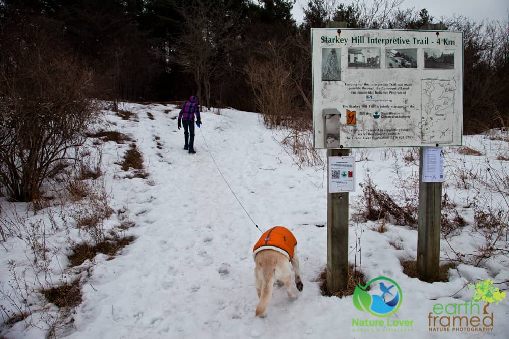 2015-Starkey-Hill-Conservation-Area-Guelph-Trail-Winter-7109 Slipping Around Starkey Hill Conservation Area, 2015