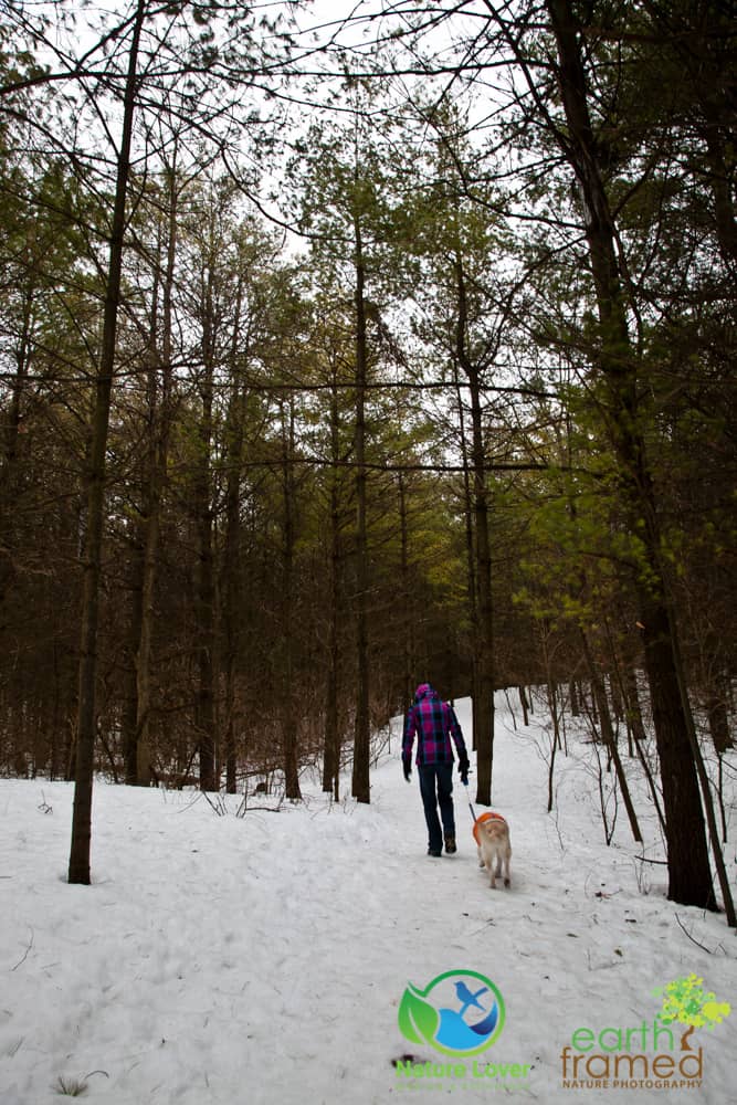 2015-Starkey-Hill-Conservation-Area-Guelph-Trail-Winter-7116 Slipping Around Starkey Hill Conservation Area, 2015