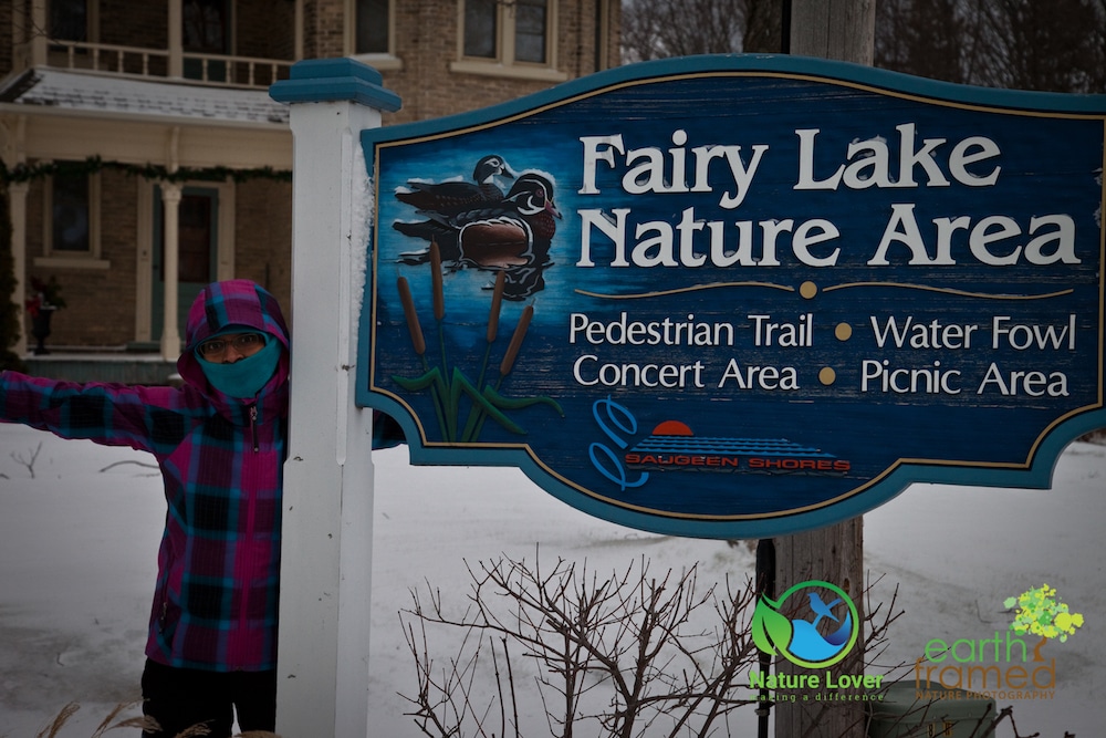 2016-Southampton-Fairy-Lake-Nature-Area-Trail-Ontario-Winter-4645 Chilly Winter Walk Around Southampton's Fairy Lake