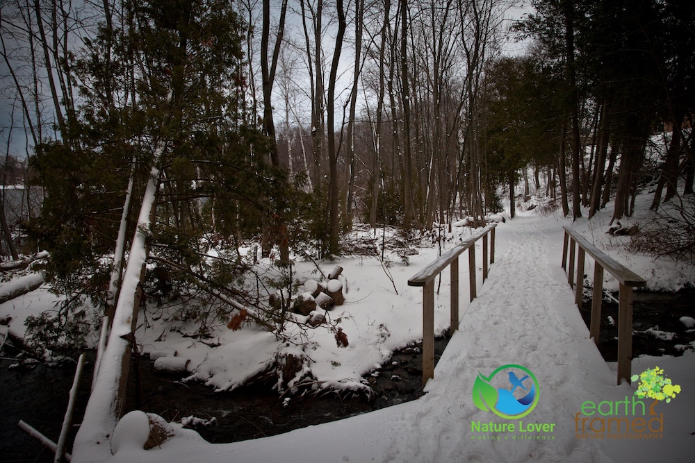 2016-Southampton-Fairy-Lake-Nature-Area-Trail-Ontario-Winter-4682 Chilly Winter Walk Around Southampton's Fairy Lake