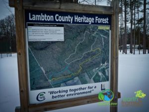 2016-Lambton-Shores-Forest-Trail-Heritage-Ontario-1020278-300x225 Maps of Lambton County's Nature Trails