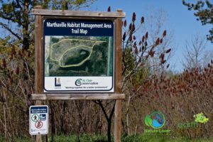Nature-Lover-2017-Marthaville-Habitat-May-Spring_6003_May-08-300x200 Maps of Lambton County's Nature Trails